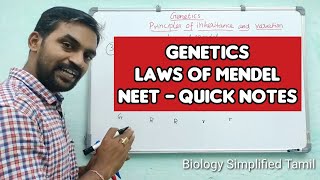 Genetics  Laws of Mendel  Tamil  Senthilnathan [upl. by Eciruam318]