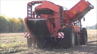 Potato Harvest 2012  Renault Ares 696RZ  Grimme DR1500 [upl. by Bear216]