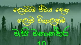 ලොවටම ජිවය දේන වීශාලම වැසි වනාන්තර 10 ය 10 Biggest Rainforests in the World [upl. by Chaiken]