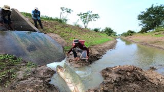 Unbelievable Skills Unbelievable Catch Hand Fishing Catfish in Upstream Waters [upl. by Salman]