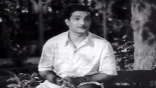 Missamma Movie Laya and Sivaji Scene  Bhoomika  Sri Balaji Video [upl. by Dolley992]