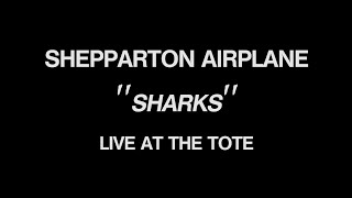 Shepparton Airplane quotSharksquot Live at The Tote [upl. by Annelak]