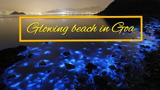 Glowing beach in Goa  Bioluminescence  Phytoplankton  Explore Goa [upl. by Ahseekat769]