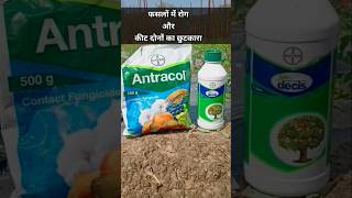 फसलों में रोग और कीट दोनों का छुटकारा 🤟 shorts agriculture insecticide khetibadi mybestkheti [upl. by Eenert]