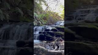 Laura Cascade walking track at the Blue Mountains NSW Australia [upl. by Naujal]