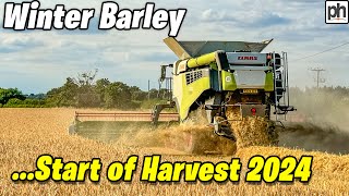 First Day Winter Barley CLAAS 7500 Lexion Combine Harvester harvest2024 [upl. by Alviani]