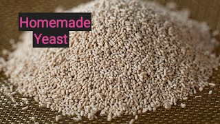 Easy Homemade Yeast  How to Make Yeast at Home [upl. by Airekal]