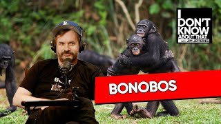 A Bonobos isnt a Chimp  I Dont Know About That with Jim Jefferies 204 [upl. by Gareth]