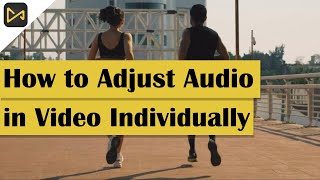 How to Adjust Audio in Video Individually  tuneskitacemovi tutorial [upl. by Gavini]