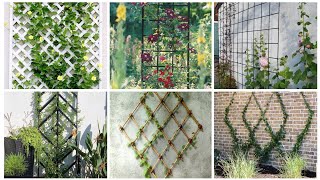 Trellis Dreams Inspiring Designs for Your Outdoor Oasis [upl. by Airdnas588]