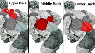 Top 4 Exercises Upper Middle amp Lower Back Workout at Gym for Big Wide Back [upl. by Dihsar]