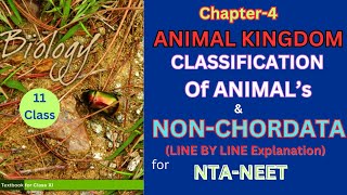 Class 11 Animal kingdom NonChordatesncertbiology Harunbiozone [upl. by Georgeanne]