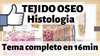 TEJIDO ÓSEO Histologia  hueso esponjoso y compacto MEJOR EXPLICADO [upl. by Melinde16]