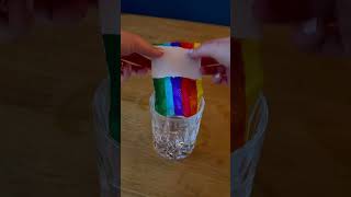 Experiment Wachsender Regenbogen shorts kindergarten kidsactivities science funforkids [upl. by Rudolph]