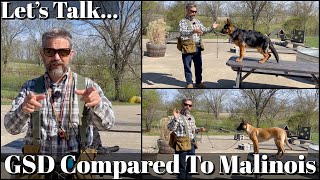 German Shepherd Compared To Malinois  A conversation starter [upl. by Arnuad719]