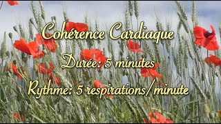 Cohérence cardiaque cardiac coherence  coquelicots dans les blés  5 respirationsminute [upl. by Adnilreh]