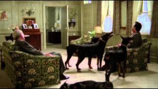 Dobermans in movie  16 part 2  Доберманы в кино [upl. by Elihu]