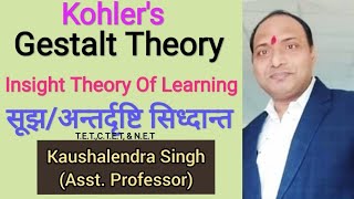 Insight Theory of Learning अंतदृष्टि या सूझ का सिद्धांत Kohlers Gestalt theory ofLerningTETCTET [upl. by Thacher296]