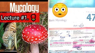 Basic mycology 🛑 LECTURE 1 Chap 47 Difference between fungi and bacteria hyphaeyt Lab diagnosis [upl. by Drisko78]