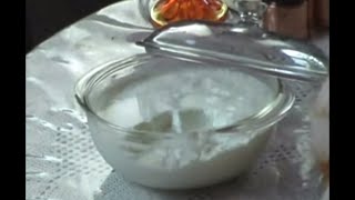 🇦🇲 YOGURT Madzoun DIY Homemade [upl. by Eseila241]