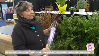 Indianapolis Home Show The Hoosier Gardener [upl. by Bryn]