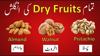 10 dry fruits name in english and hindi [upl. by Newbold]