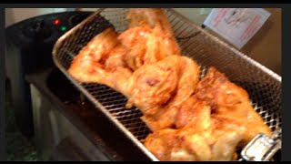 218 Golden DEEP FRIED Chicken Wings  HAMILTON BEACH Deep Fryer [upl. by Midis117]