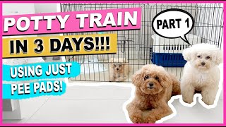 HOW TO POTTY TRAIN YOUR NEW PUPPY QUICKLY Part 1 The Complete Process The Poodle Mom [upl. by Hakilam967]