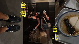 5 days in taiwan vlog ☀️ what to eat shi fen  jiu fen day trip taipei night markets 🥡 [upl. by Parfitt]