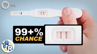 How Do Pregnancy Tests Work [upl. by Jesselyn]