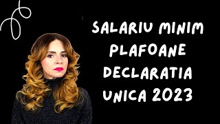 Ce salariu minim folosim la calculul plafoanelor din declaratia unica in 2023 [upl. by Eddana668]