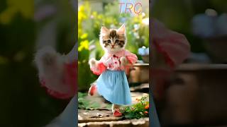 Best Dance cat style ❤️😱 shorts trending cat dance [upl. by Fin]