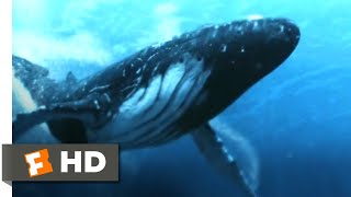 5Headed Shark Attack 2017  Humpback Whale vs 4Headed Shark Scene 310  Movieclips [upl. by Hirai]