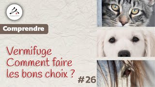 26 Vermifuge naturel pour Chiens et Chats Comment bien lutiliser [upl. by Ahsot373]