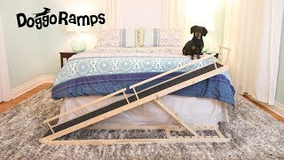 Introducing DoggoRamps  The Small Dog Bed Ramp [upl. by Adirf]