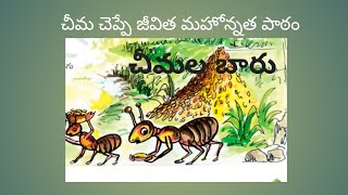 చీమల బారు  6 వ తరగతి cheemala baaru 6th class lesson [upl. by Einnob]