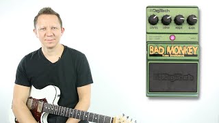 Digitech Bad Monkey Mid Driver [upl. by Nylanaj]