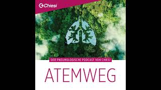 Folge 13 Zusammenarbeit von Haus und Fachärztinnen im Rahmen der DiseaseManagementProgramme [upl. by Gianina734]