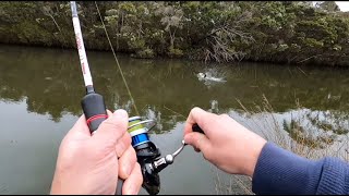 Fishing For Carp After Rain [upl. by Ebaj]