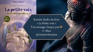 La petite voix  11 Mars ✨ Message du jour conseil du jour amp méditation  Extrait audio du livre [upl. by Yorled707]