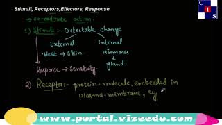 1211 Stimuli Receptors Effectors Response Coordination and Control Biology Punjab Level10 [upl. by Arakaj858]