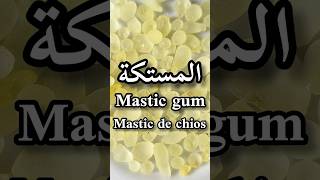 أهم الفوائد الصحية للمستكةMastic gum benefitsMastihaLes bienfaits du Mastic de Chiosshorts [upl. by Brantley]