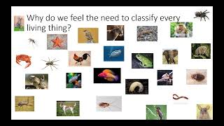 Infectious Diseases Grand Rounds Hey Taxonomist Leave that Bug Alone [upl. by Emelda375]