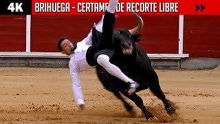 LO IMPORTANTE NO ES CAER SI NO LEVANTARSE ⭐ BRIHUEGA ⭐ Certamen ▶ Cortes con TOROS ◀ 4K [upl. by Noirred]