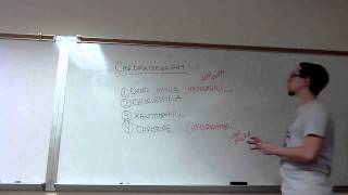 Lab Review  Chromatography Unit 10 Photosynthesis [upl. by Atteugram]