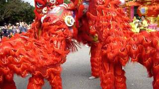 Chinese Dancing Lions [upl. by Odlonyer663]