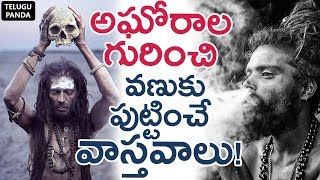 Unknown Facts About AGORAS Life Will Scare You  అఘోరాలు గురించి వణుకు పుట్టించే వాస్తవాలు [upl. by Weslee404]