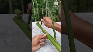 Bamboo video ki Kare Banay 🔥 How to create Copy Paste Video And Earn Money shorts [upl. by Philips]