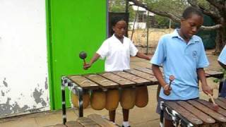 Botswana Music Marimba 2 [upl. by Annayar]