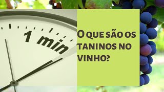 O que são os taninos nos vinhos [upl. by Nirro]